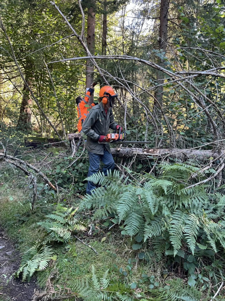 Entretien et balisages des sentiers