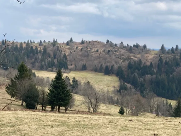 Mardi 25 mars 2025 : Souvenir Français