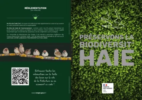 ZOOM les haies, refuge poir la biodiversité