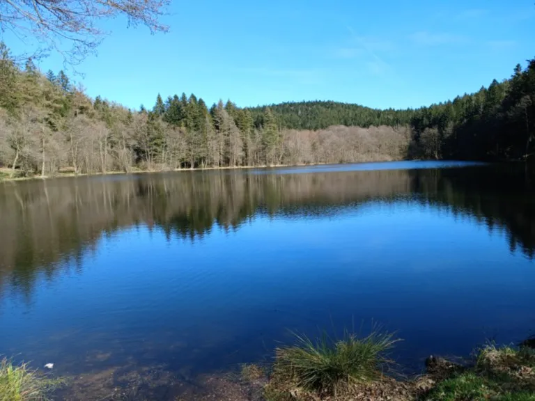 Boucle de la Vigotte, le Girmont
