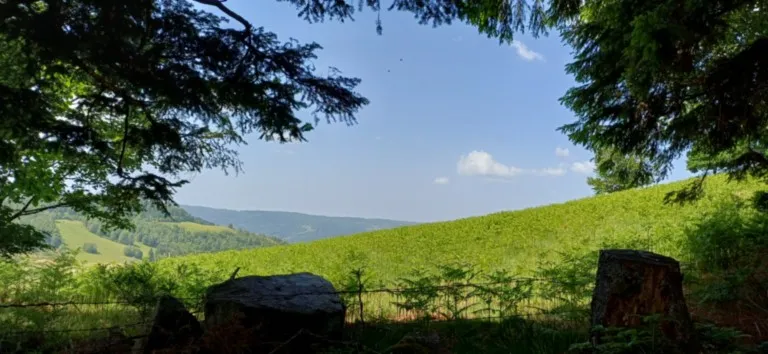 Chapelle des Vés