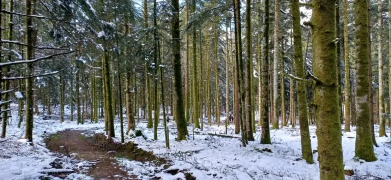 La Houssière - Les 3 Monts : dimanche 29 mars 2026 