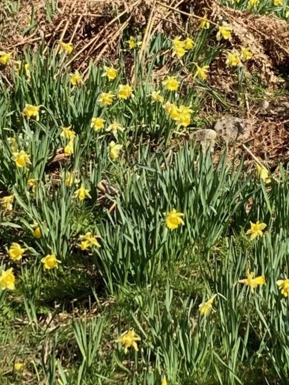 Gerbamont la Contonne, Col de Fouchure, Peute Goutte