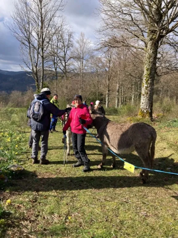 Gerbamont la Contonne, Col de Fouchure, Peute Goutte