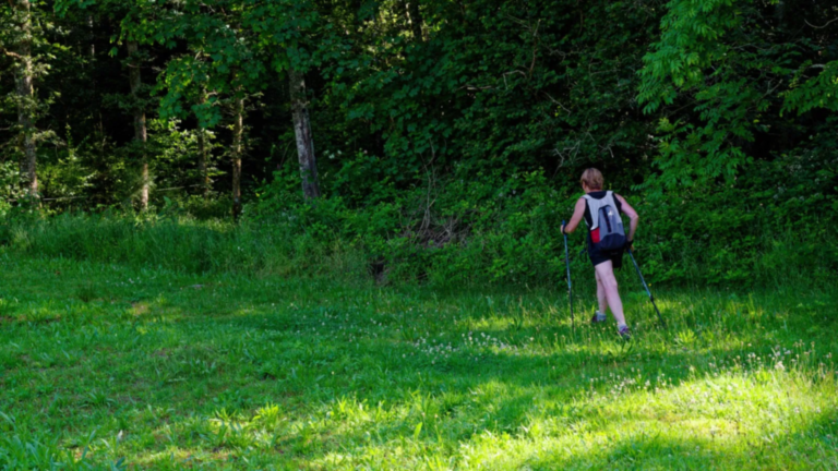 Marche Nordique Club Vosgien de Vagney