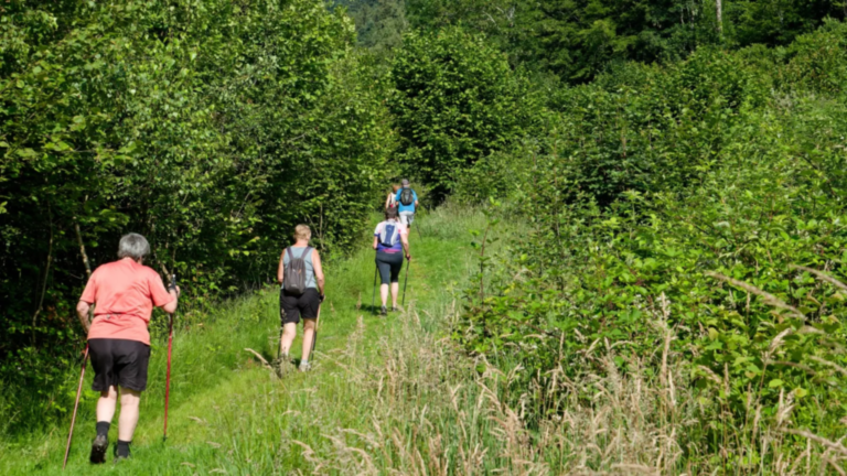 Marche Nordique Club Vosgien de Vagney