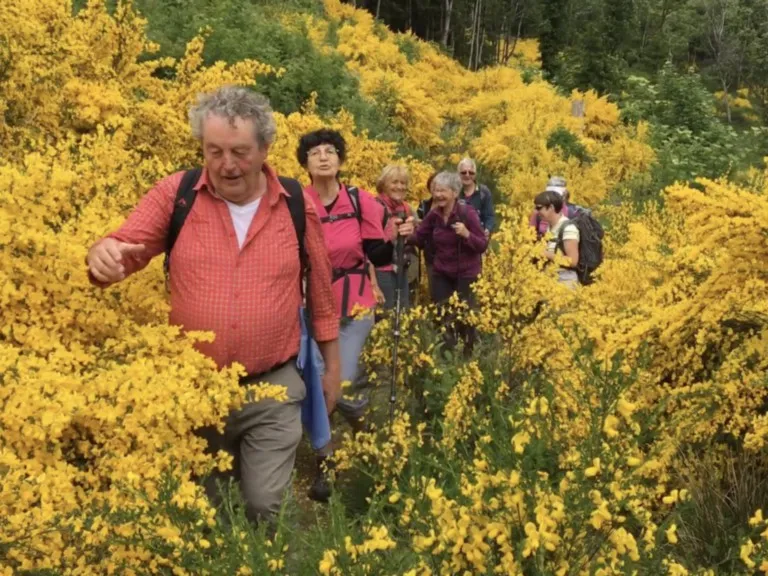 Tourbière de la Charme