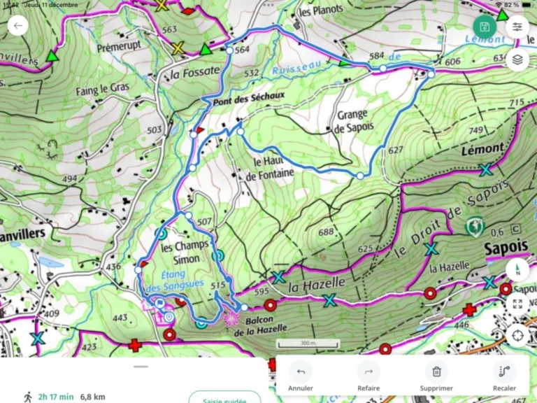 Le pont des Séchaux, Lémont, la Hazelle