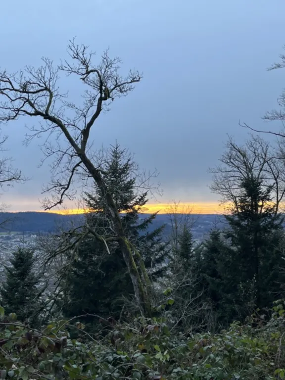 Fossard, la pierre de Kerlinquin