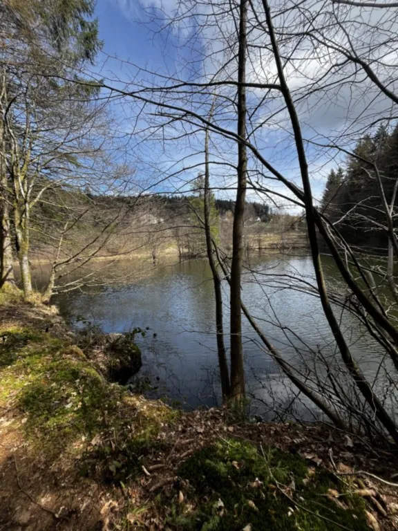 Boucle de la Vigotte, le Girmont