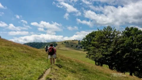 Club Vosgien Randonnées Pédestres