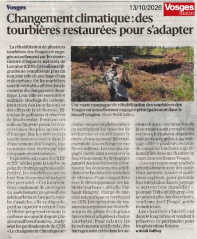 Changement climatique : des tourbières